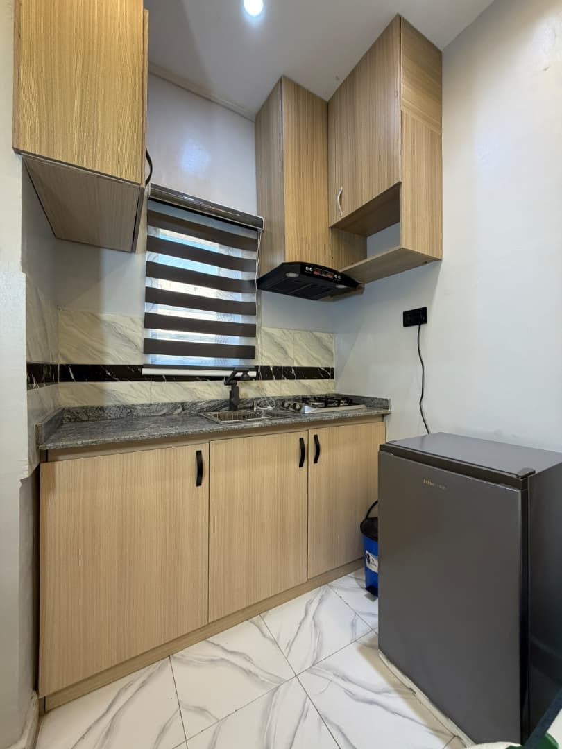 The Calisto · Apartment 201 · interior photograph 3